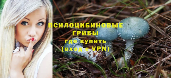 сатива Нефтегорск