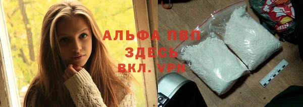 шишки Надым